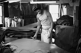 Finish grading the leather. Oct. 1975