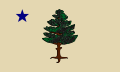 1901 Maine Flag