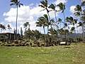 Hikinaakalā Heiau