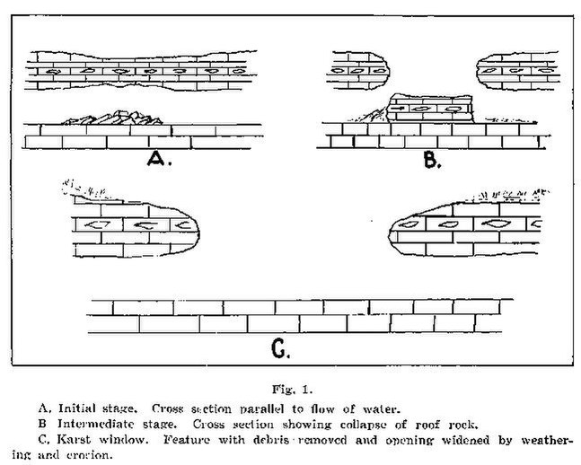 File:OsinskiFig1.pdf