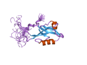 2d92: Solution structure of the fifth PDZ domain of InaD-like protein