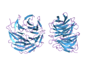 2h9m: WDR5 in complex with unmodified H3K4 peptide