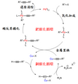 於 2019年1月12日 (六) 11:33 版本的縮圖