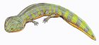 蛙鳄（Batrachosuchus watsoni）