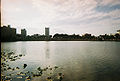 Lake Mirror Promenade