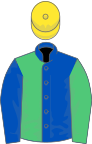 Royal blue and emerald green halved, sleeves reversed, yellow cap