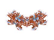 1nqt: Crystal structure of bovine Glutamate dehydrogenase-ADP complex