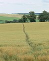 Public Footpath to the abandoned historic village of Hamilton