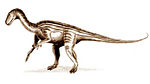 Thecodontosaurus, a close relative of Agrosaurus and a possible senior synonym