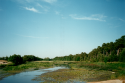 Vääna River near its mouth in Vääna-Jõesuu.