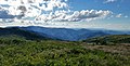 View from the peak of Black Balsam