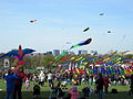 Smithsonian Kite Festival, March 27, 2010