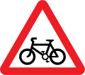 Road with special measures for cyclists.