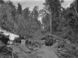 Knight's tram and a steam hauler, Raurimu, in a clearing in the bush