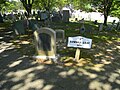 Edward Gray Grave, 2015