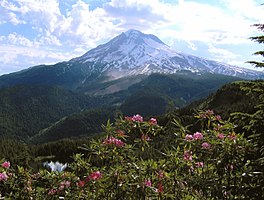 A view of Burnt Lake below Mt. Hood, Oregon