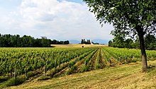 Capriano del Colle is a comune in the province of Brescia, Lombardy