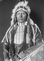 White Eagle's son Horse Chief Eagle served as chief sovereign of the Ponca from 1904 until 1940.