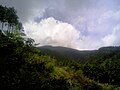 Mount Nagisan from the middle of the mountain