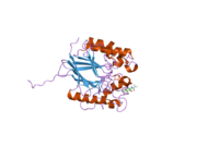 1war: RECOMBINANT HUMAN PURPLE ACID PHOSPHATASE EXPRESSED IN PICHIA PASTORIS