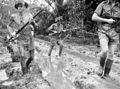 Image 4Australian troops at Milne Bay, Papua.The Australian garrison was the first to inflict defeat on the Imperial Japanese Army during World War II at the Battle of Milne Bay of Aug–Sep 1942. (from History of Papua New Guinea)