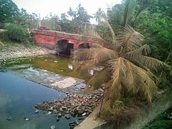 Kommamuru canal at Sangam Jagarlamudi in Guntur district