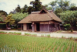 Thatch, using rice straw, Japan