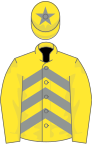 Yellow and grey chevrons, yellow sleeves, yellow cap, grey star