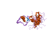 1uvg: SOLUTION STRUCTURE OF THE 15TH DOMAIN OF LEKTI