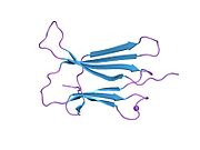 2d4f: The Crystal Structure of human beta2-microglobulin