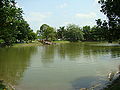 Pond in Shelaidaha Kuthibari premises (2008)