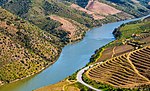 A river with terraced vineyards