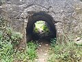 Access tunnel