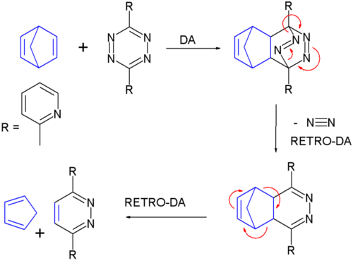 reaction of norbornadiene with 3,6-di-2-pyridyl-1,2,4,5-tetrazine