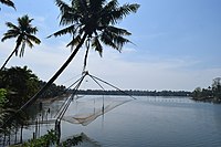 Periyar, the longest river of Kerala.