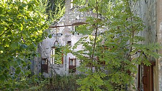 Interior of the first floor, unroofed and overgrown.