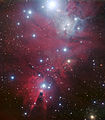 NGC 2264和圣诞树星团