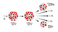 Nuclear reaction theorised by Meitner and Frisch