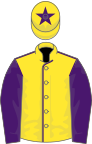 Yellow, purple seams, sleeves and star on cap