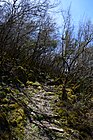 Landscape in Vikos–Aoös National Park.