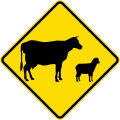 (W5-38) Stock Crossing