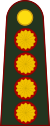 上将