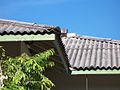 Corrugated roof tiles ruled by parallel lines in one direction, and sinusoidal in the perpendicular direction