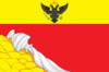 沃罗涅日旗帜