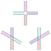 The possible base stacking isomers of a Holliday Junction