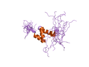 2dak: Solution Structure of the Second UBA Domain in the Human Ubiquitin Specific Protease 5 (Isopeptidase 5)