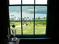 View from a window in John Rankin's house. The Kentucky shoreline is visible on the far side of the Ohio River.