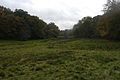 Looking south from Crook's Copse towards Dirty Ground Copse, between High Wood, on the left, and Slockett's Copse, on the right.