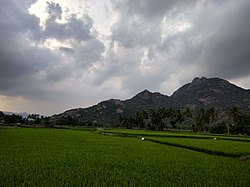 Kalvarayan Hills from Arasampattu