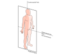 Anatomical Sagittal Plane and it's axis.